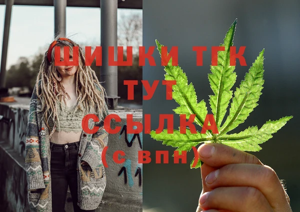 Альфа ПВП Ветлуга