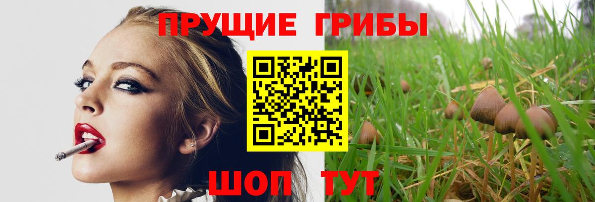 Троицк  Псилоцибиновые грибы Magic Shrooms  Вход с VPN 